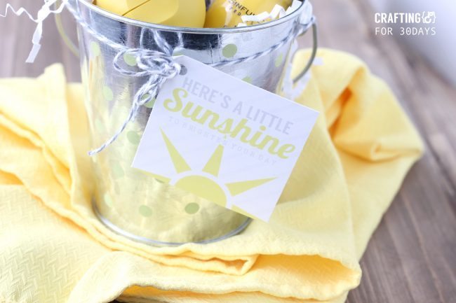 Bucket of Sunshine with Printable Gift Tags by Crafting E for www.thirtyhandmadedays.com