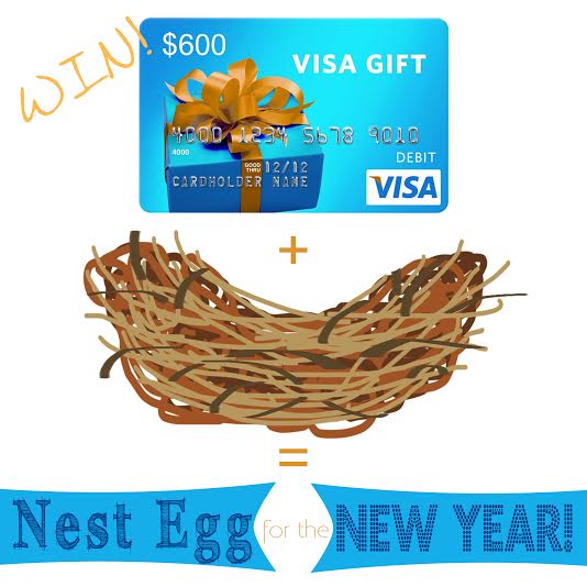 Nest Egg for the New Year - enter this giveaway!