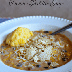 Slow Cooker Chicken Tortilla Soup - simple to make and tastes amazing. A favorite slow cooker recipe! www.thirtyhandmadedays.com