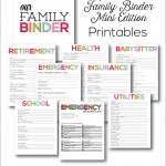Updated Family Binder, Mini Edition - the perfect little mini binder to store everything in one spot! www.thirtyhandmadedays.com