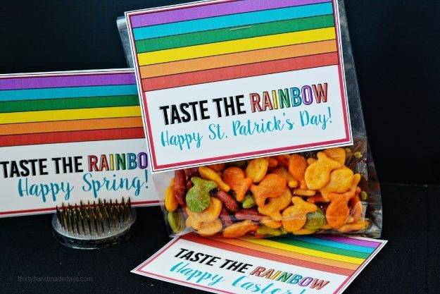 Printable Rainbow Tags from Thirty Handmadedays.com