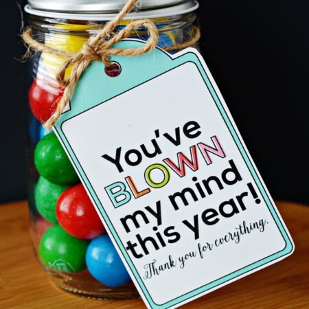 Fun Teacher Appreciation Gift - "You've blown my mind!" www.thirtyhandmadedays.com