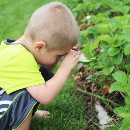 5 Ways to Help Your Toddler Explore www.thirtyhandmadedays.com