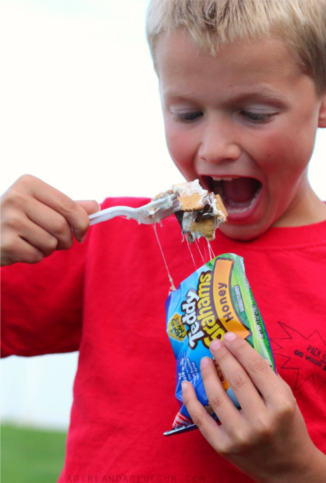 Smores in a Bag - the best campfire treat. 