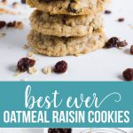 Oatmeal Raisin Cookies - the best cookies recipe you'll ever try from www.thirtyhandmadedays.comOatmeal Raisin Cookies - the best cookies recipe you'll ever try from www.thirtyhandmadedays.com