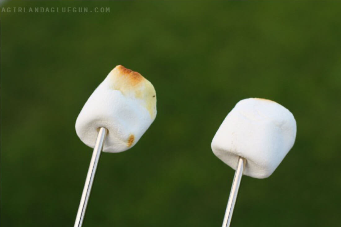 Smores in a Bag - roasted marshmallows