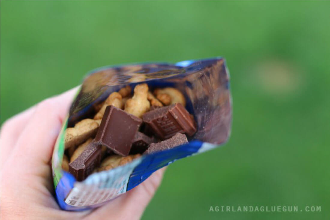 Smores in a Bag - how you put them together.