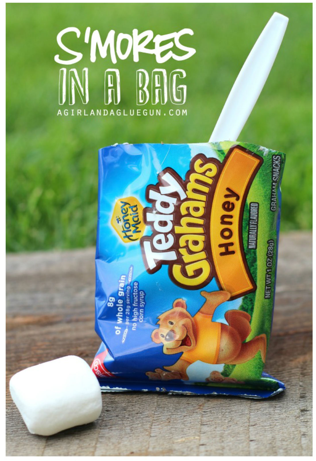 Smores in a Baxg -the best campfire treat. 