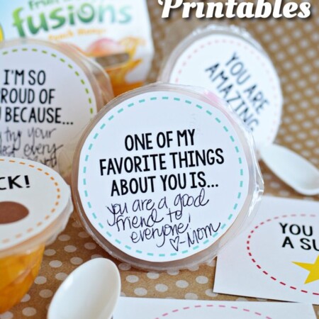 Fruit Cup Lunchbox Printables - perfect for back to school www.thirtyhandmadedays.com