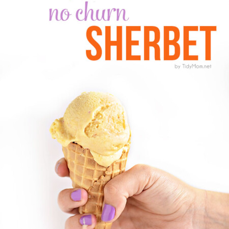 2 Ingredient No Churn Homemade Sherbet Recipe from Tidy Mom for Funner in the Summer