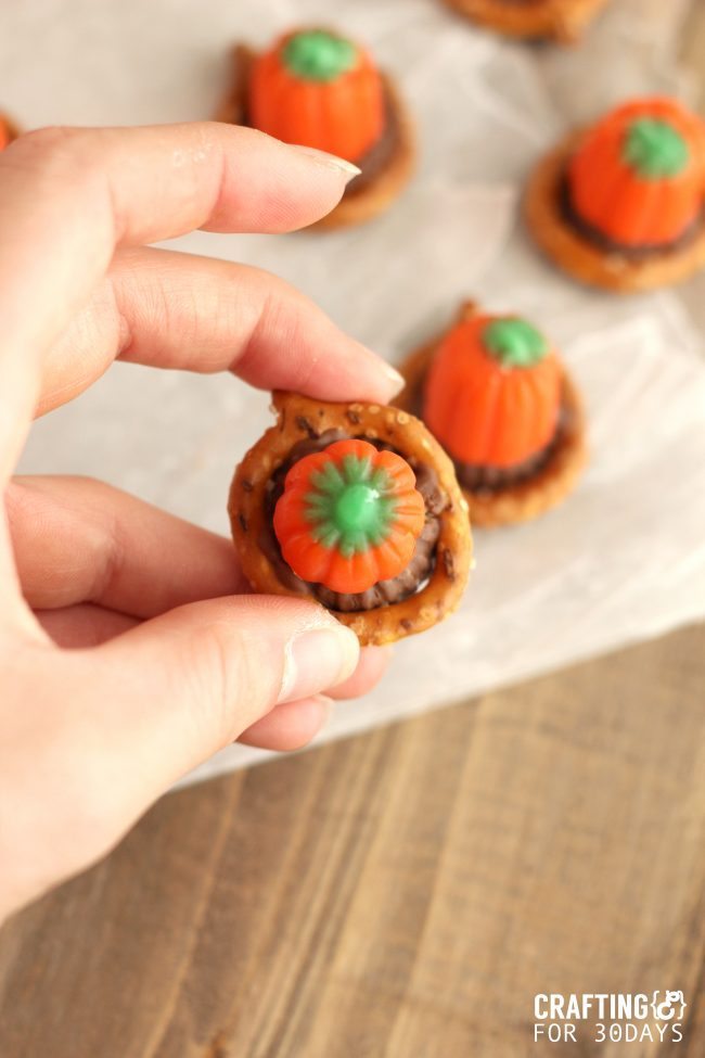 PUMPKINBITES_5