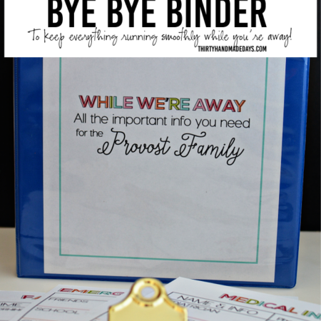 Bye Bye Travel Binder for Babysitting from www.thirtyhandmadedays.com