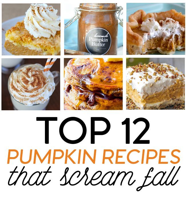 Top 12 Pumpkin Recipes that Scream Fall 