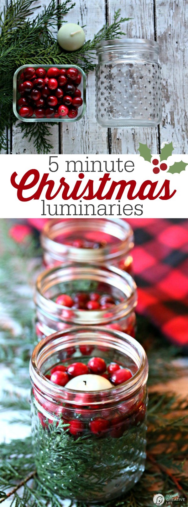 5 Minute Christmas Luminaries - easy to make and make your house smell good!