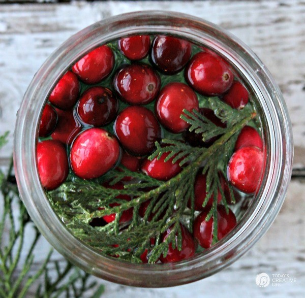 5 Minute Christmas Luminaries - easy to make and make your house smell good! What you need, berries