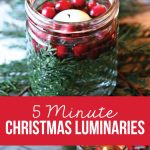 5 Minute Christmas Luminaries - easy to make and make your house smell good! via www.thirtyhandmadedays.com