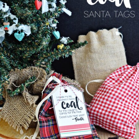 Printable Coal Santa Tags from thirtyhandmadedays.com