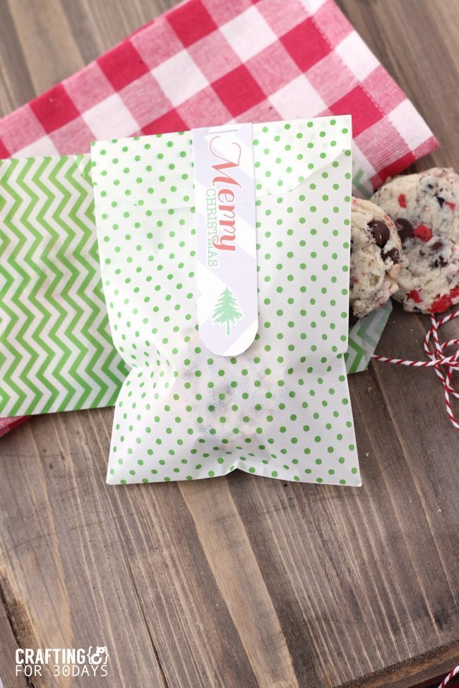 Printable Christmas Gift Tags from Crafting E via thirtyhandmadedays.com