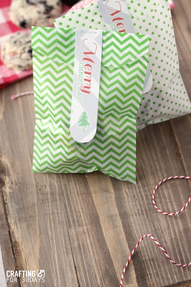 Printable Christmas Gift Tags from Crafting E via www.thirtyhandmadedays.com