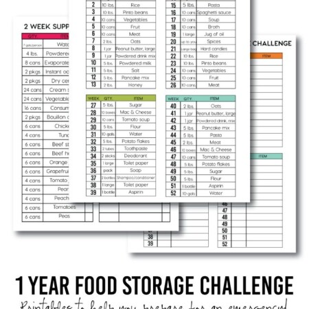 1 Year Food Storage Challenge with printables from www.thirtyhandmadedays.com
