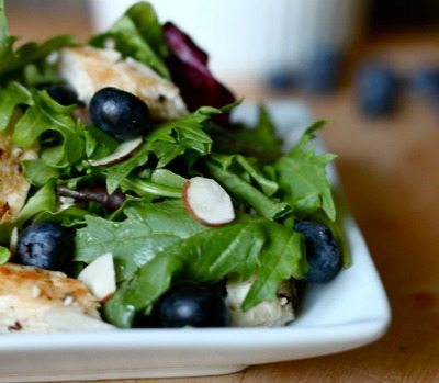 Grilled-Chicken-and-Blueberry-Salad from Skinny Ms. / round up on ThirtyHandmadeDays.com