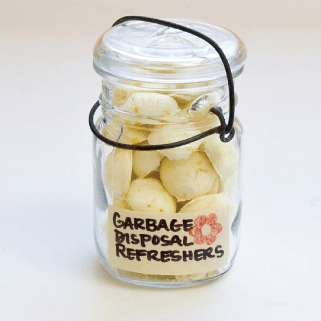 Make your own garbage disposal refreshers 