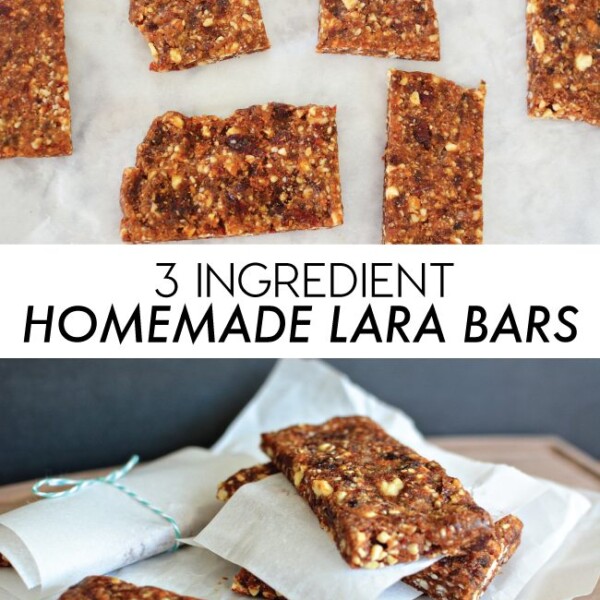 3 Ingredient Homemade Lara Bars