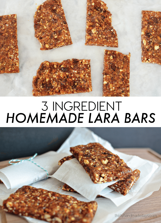 3 Ingredient Homemade Lara Bars www.thirtyhandmadedays.com