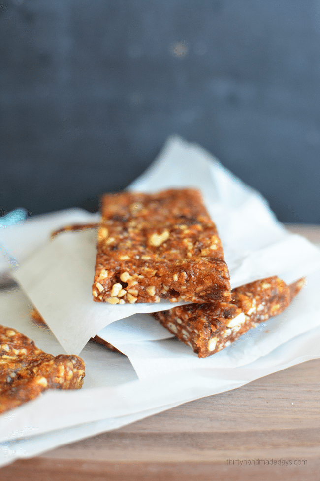 3 Ingredient Homemade Lara Bars from www.thirtyhandmadedays.com