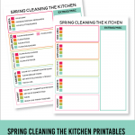 Spring Cleaning Checklists
