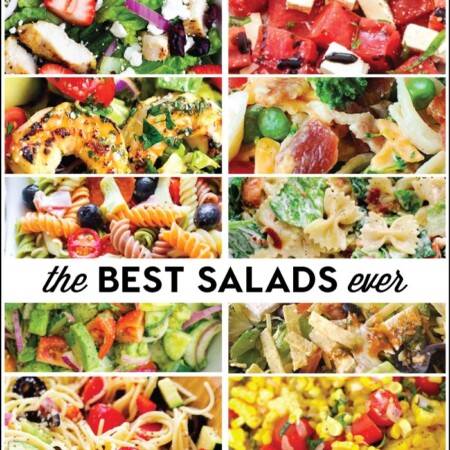 The Best Salad Recipes Ever compiled by www.thirtyhandmadedays.com