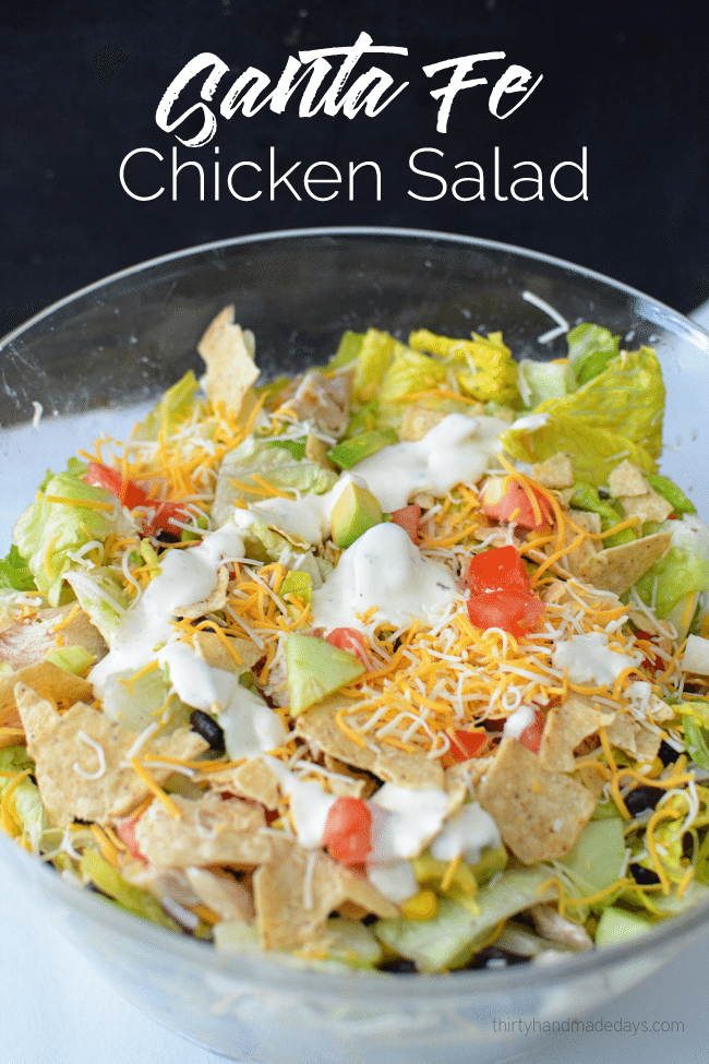 Delicious Santa Fe Chicken Salad from www.thirtyhandmadedays.com