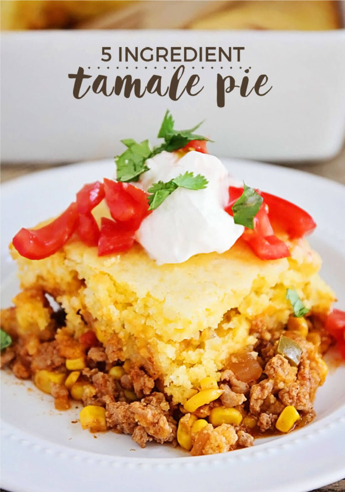 5 Ingredient Tamale Pie - easy, yummy dinner that the whole family will love! 