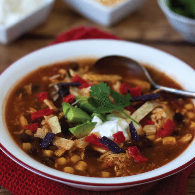 Chicken Enchilada Soup: 20+ Instant Pot Recipes to Try