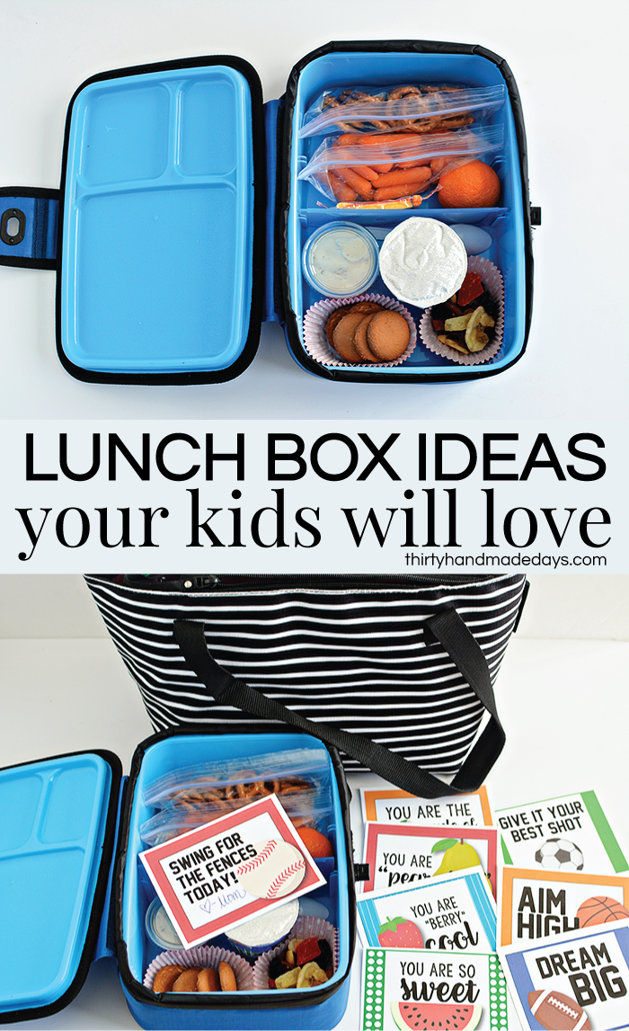 School Snack Box Ideas Your Kids Will Love