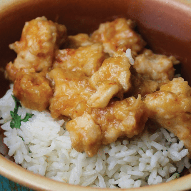 Orange Chicken: 20+ Instant Pot Recipes to Try 