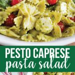 Pesto Caprese Pasta Salad - a take on an old classic. This pasta recipe is so good!