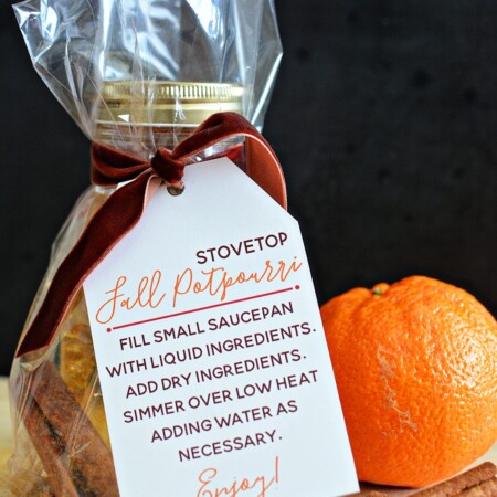 Fall Stovetop Potpourri - make your home smell delicious with this easy to make potpourri from www.thirtyhandmadedays.com