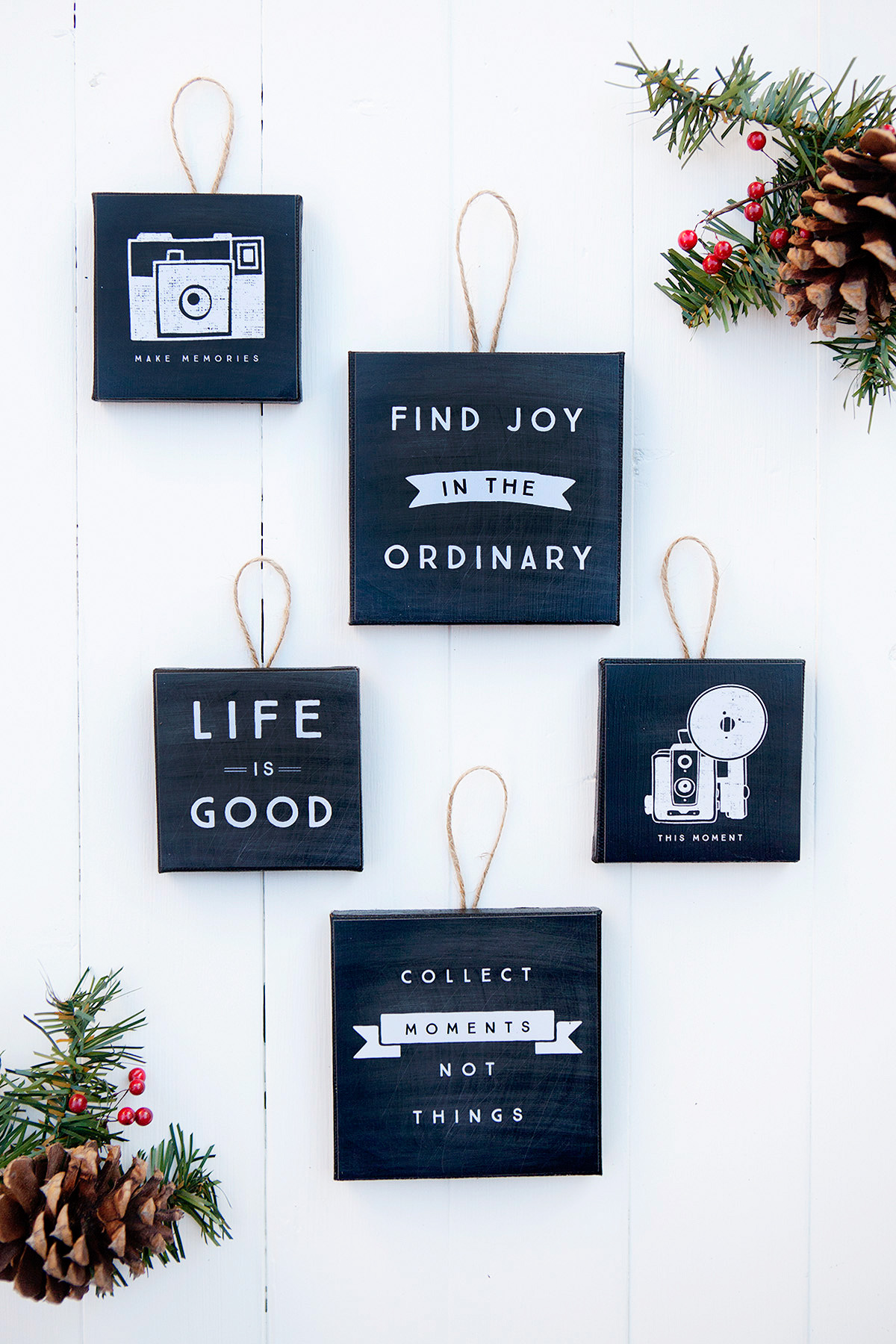 Great Point Ornament Canvas