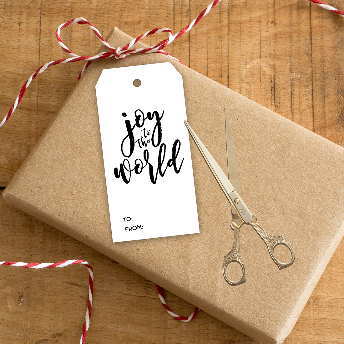 Holidays: Adorable printable Christmas gift tags to use this holiday season. 
