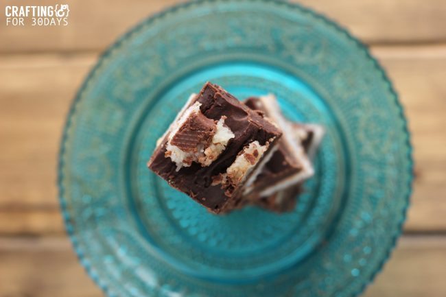 Food: Almond Joy Fudge - using only a handful of ingredients, make this tasty treat for the holidays! From Crafting E via www.thirtyhandmadedays.com