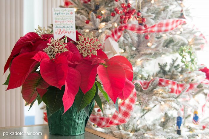 poinsettia gift idea for Christmas