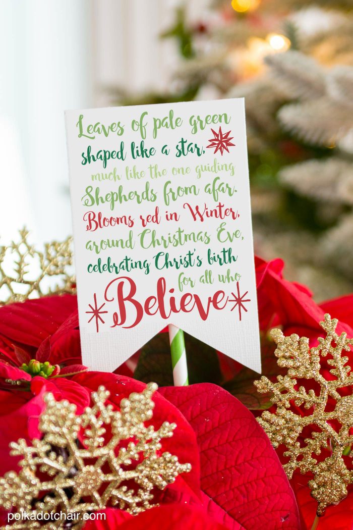 printable poinsettia gift tag