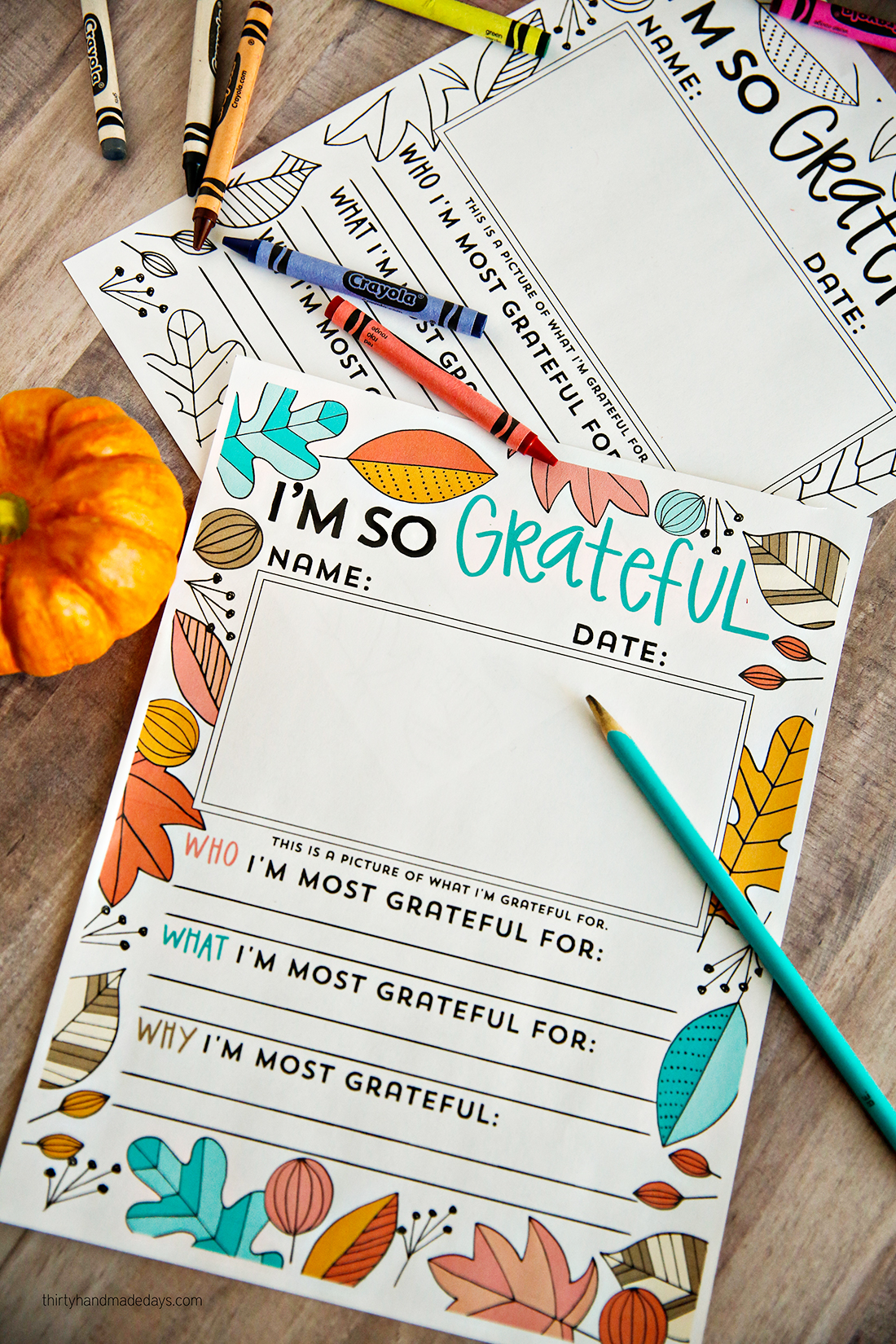 Holidays: "I'm so grateful for ......" Thanksgiving coloring pages to fill in. You can use this for kids or adults via thirtyhandmadedays.com