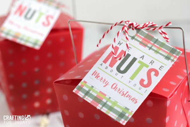 Holidays: Easy Nut Mix Neighbor Gift - make this super simple treat for Christmas an to celebrate the holidays! from CraftingE