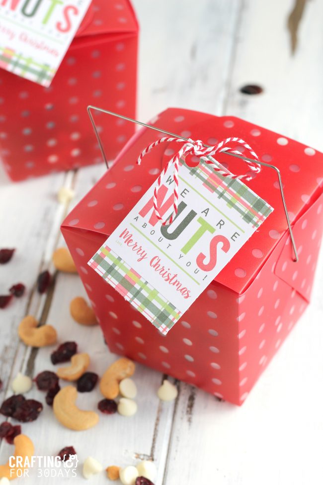 Holidays: Easy Nut Mix Neighbor Gift - make this super simple treat for Christmas an to celebrate the holidays! from CraftingE via www.thirtyhandmadedays.com