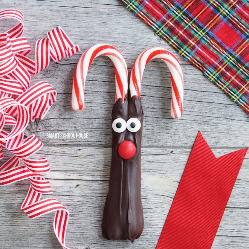 The very best Reindeer Treats - Reindeer Candy Canes- make some of these to use with the reindeer printable tags from www.thirtyhandmadedays.com