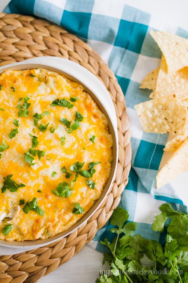 This Chicken Enchilda Dip Is A Perfect Party Appetizer Recipe