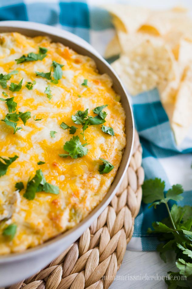 This Chicken Enchilda Dip Is A Perfect Party Appetizer Recipe