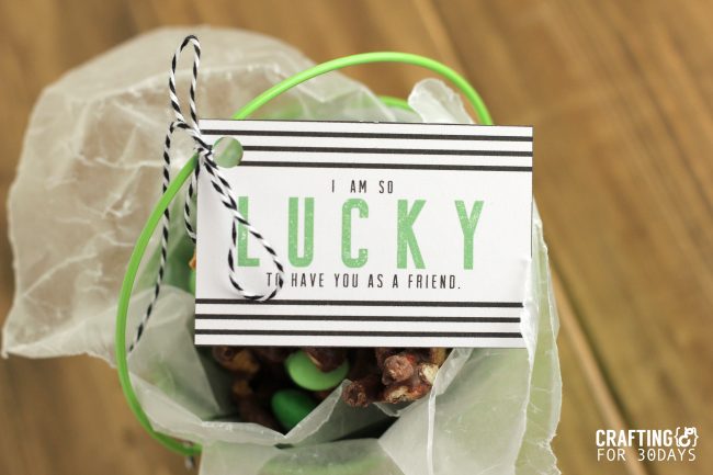 Free Printable St. Patrick's Day Gift Tag from CraftingE